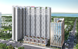 CitiGrand: Dự án căn hộ tại Khu đô thị Cát Lái