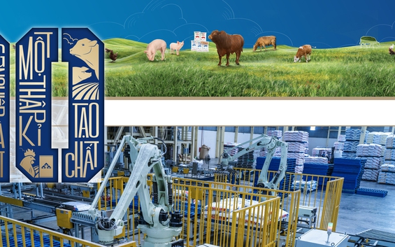 Nông nghiệp Hòa Phát: Chậm mà chắc như xe lu, xây vị thế top đầu