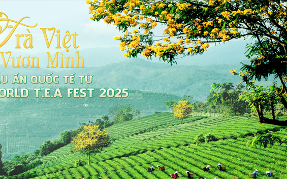 Trà Việt Vươn Mình: Dấu Ấn Quốc Tế Từ World T.E.A Fest 2025