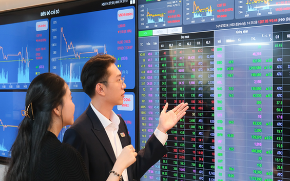 Rồng Việt công bố KQKD Quý 2/2025: Ổn định nền tảng, vững vàng tương lai