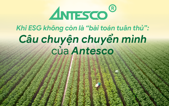 Khi ESG không còn là “bài toán tuân thủ”: Câu chuyện chuyển mình của Antesco