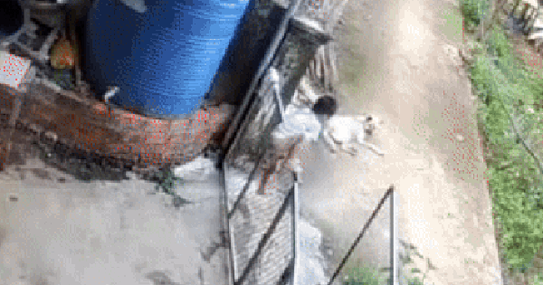 Búp măng non vượt ngàn chông gai để trốn nhà đi chơi, xem lại camera, mẹ bé muốn cạn lời khi thấy con ôm "bạn tri kỷ" ngủ giữa đường!
