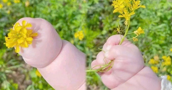 Bố mẹ có biết đặc điểm đôi bàn tay của bé cũng gợi mở về tương lai, năng lực và tính cách con sau này